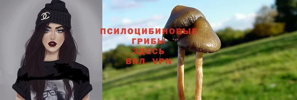 прущие крисы Володарск