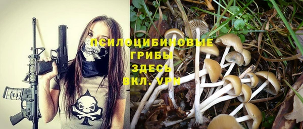 прущие крисы Володарск