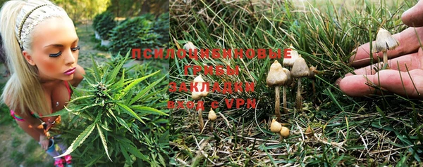 прущие крисы Володарск