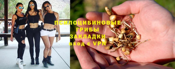 прущие крисы Володарск
