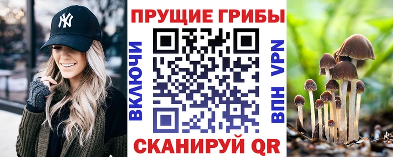Псилоцибиновые грибы мухоморы  Купить закладки  Комсомольск 